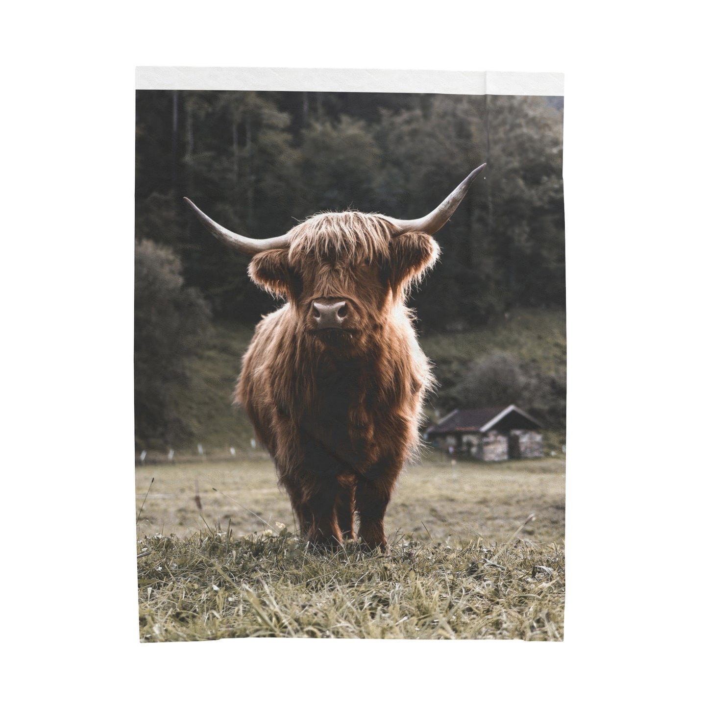 Highland Cow Plush Blanket