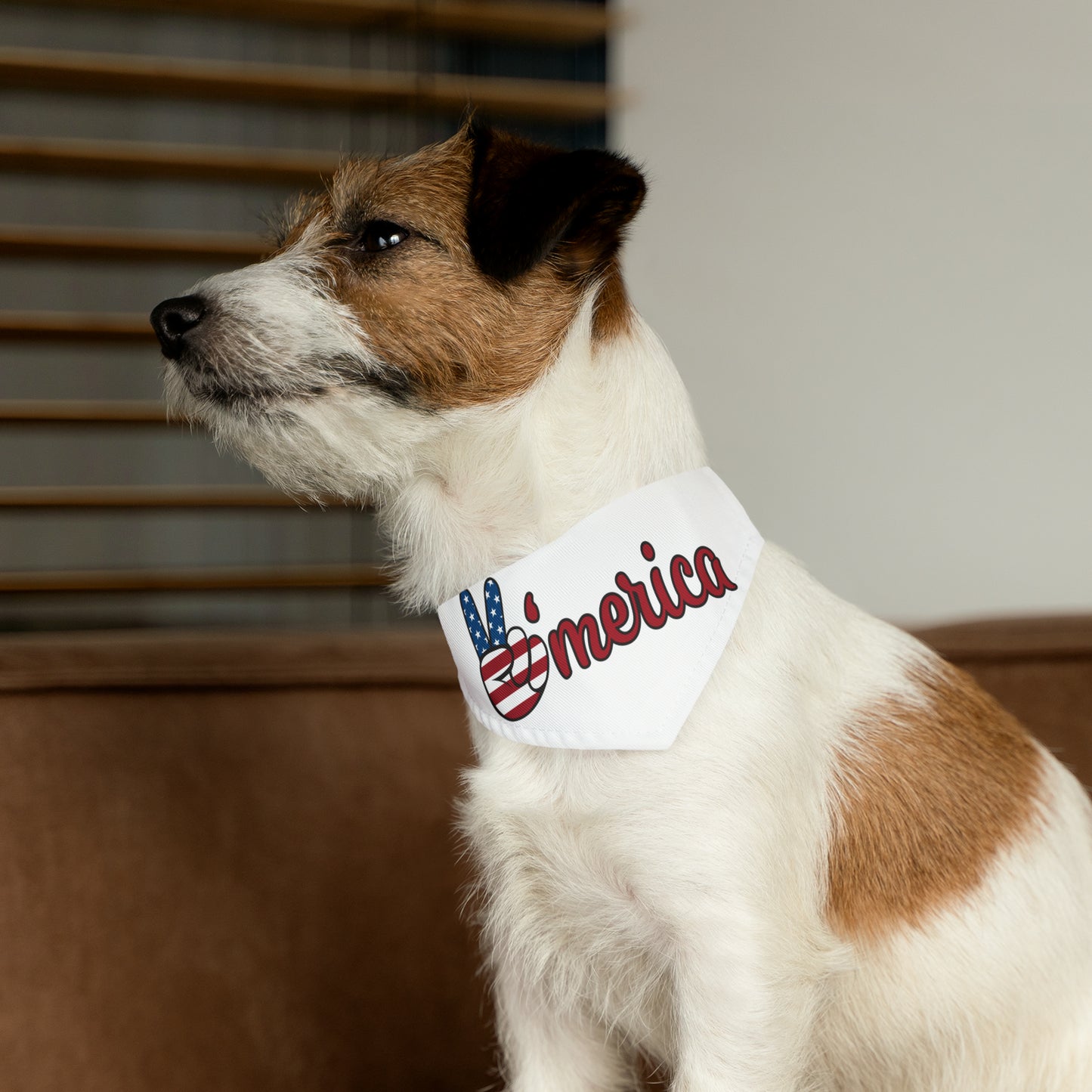 Pet Bandana Collar