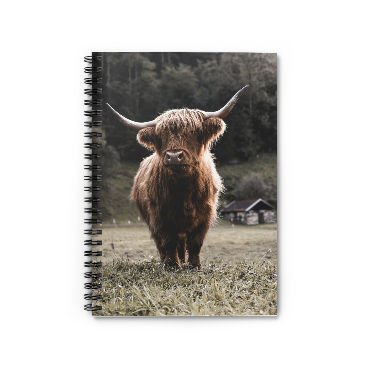 Spiral Notebook highland cow note pad book