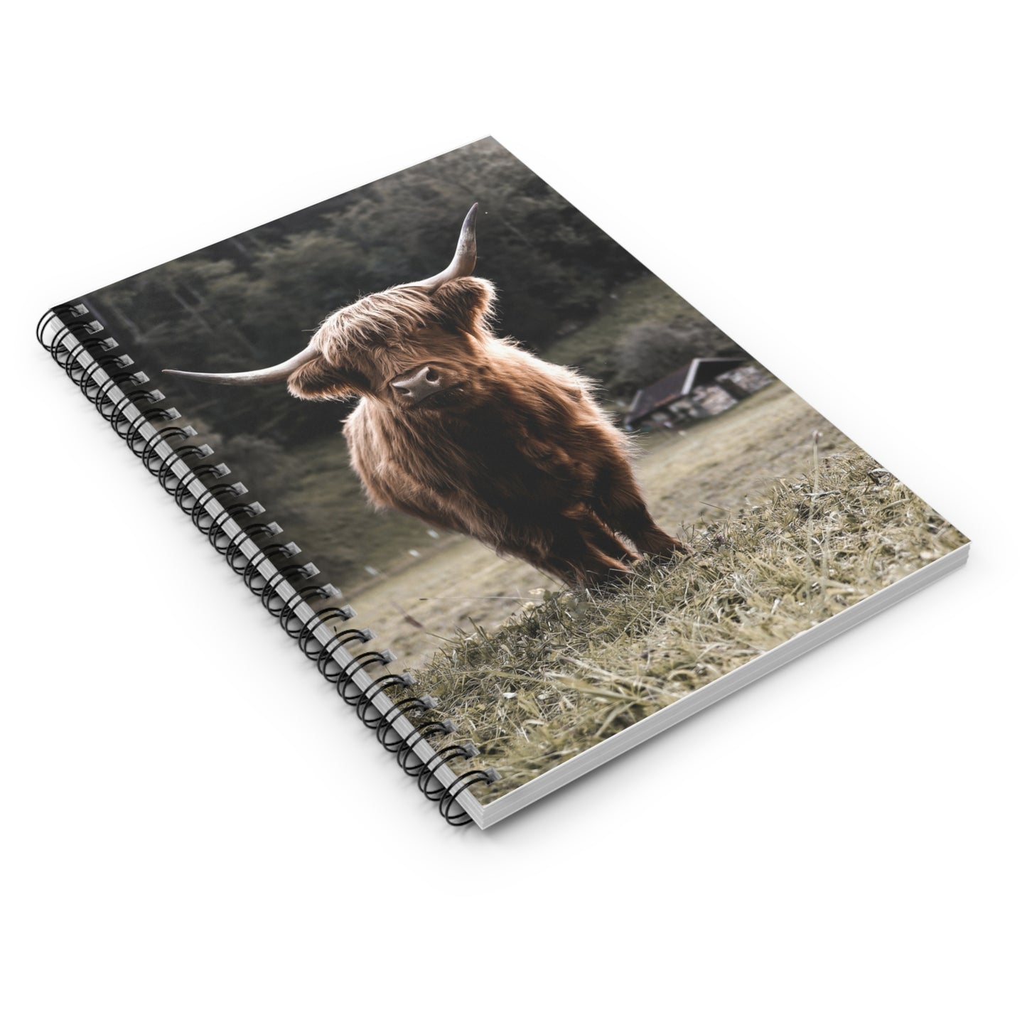 Spiral Notebook highland cow note pad book