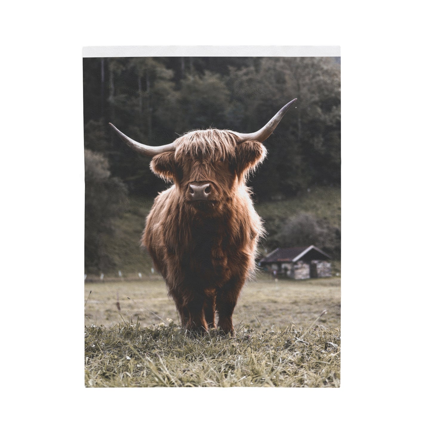 Highland Cow Plush Blanket