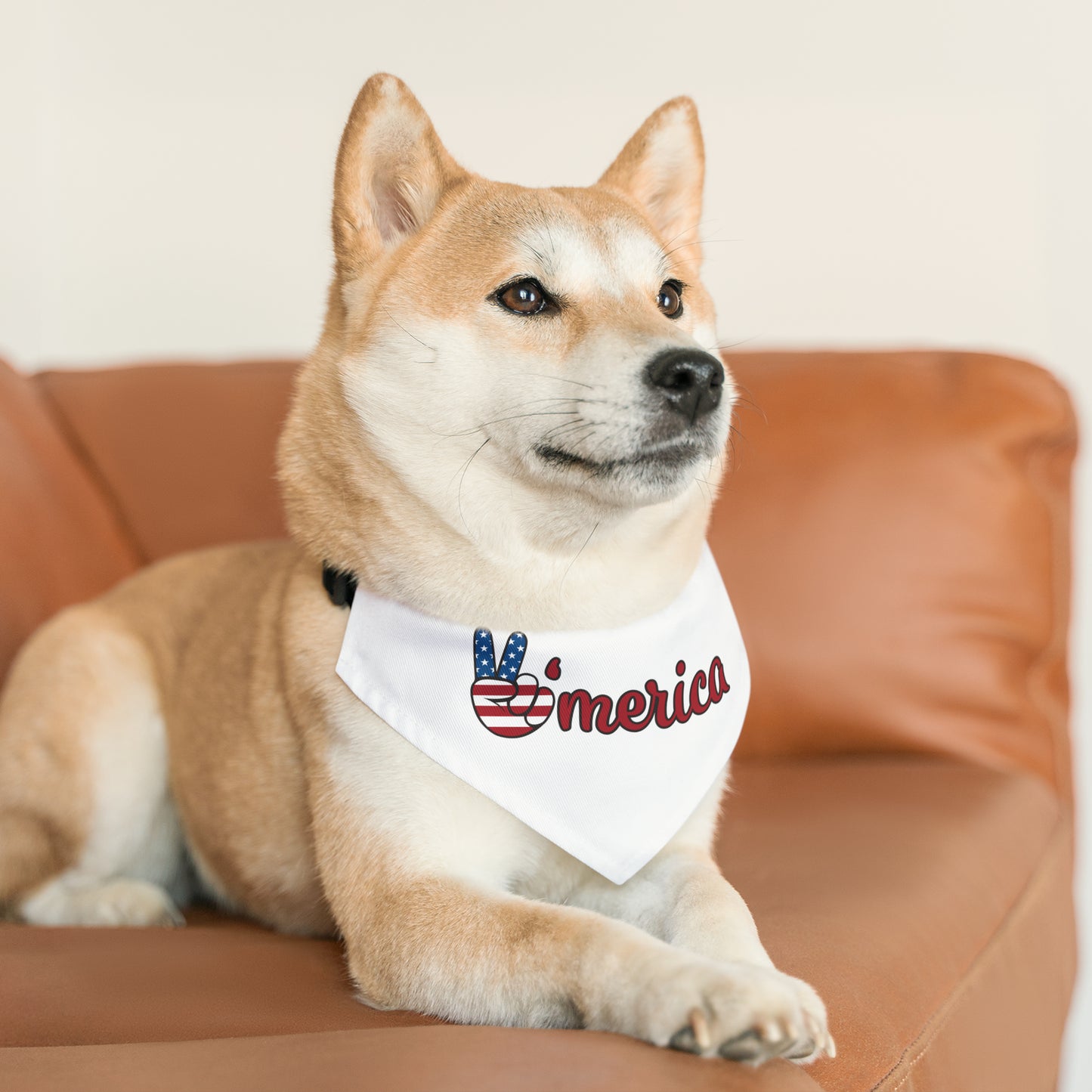 Pet Bandana Collar