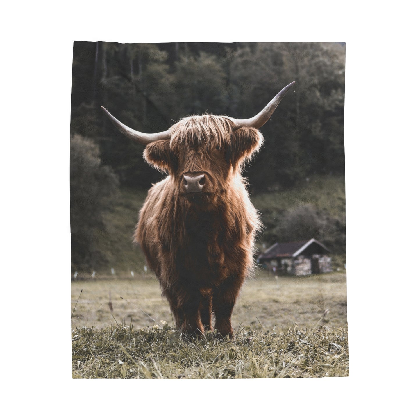 Highland Cow Plush Blanket